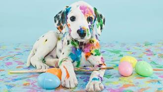 PaintedPuppy