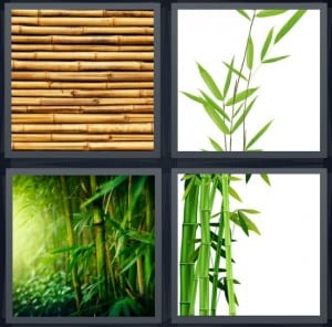 Mat, Leaves, Tree, Stalk