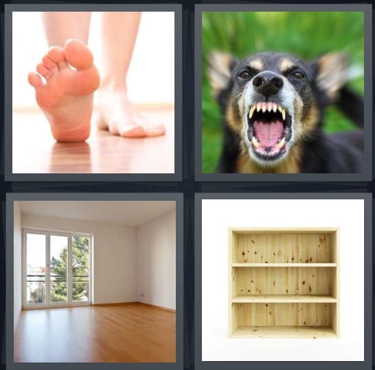 Feet, Dog, Room, Shelf