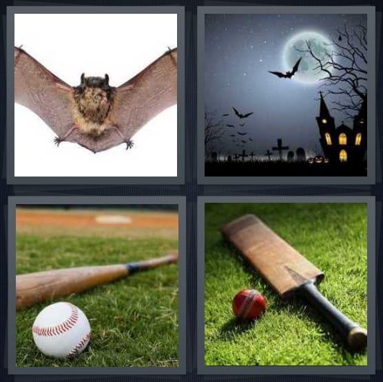 Wings, Moon, Baseball, Cricket