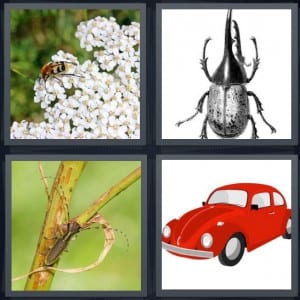 Insect, Pinchers, Bug, Volkswagon