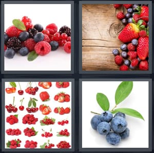 raspberries and other mixed fruit, strawberries and blueberries, cherries and other fruit, blueberries on stalk with leaves