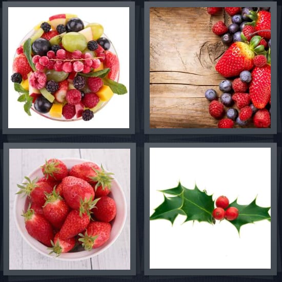 Fruit, Blueberry, Strawberry, Holly