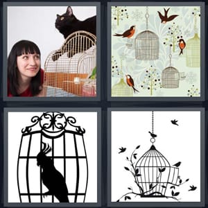cat sitting on bird with woman, pet bird, parrot shadow inside cage, cage with shadow of a bird