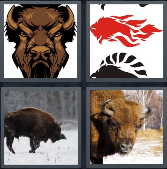 Animal, Mascot, Snow, Buffalo