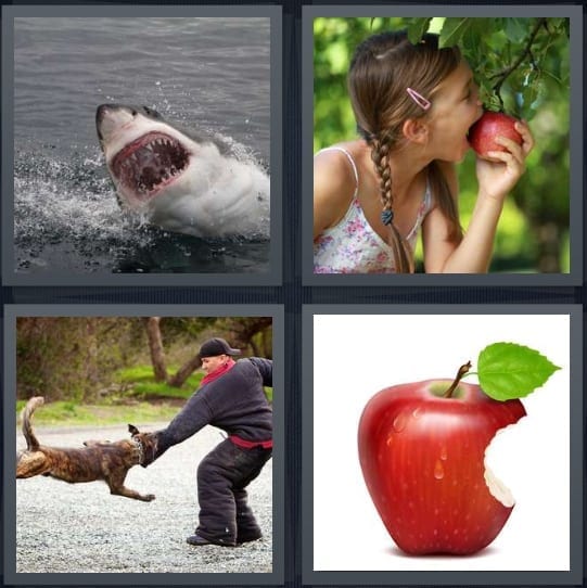 Shark, Apple tree, Dog, Apple