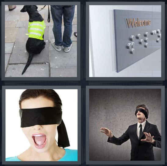 Dog, Braille, Blindfold, Searching