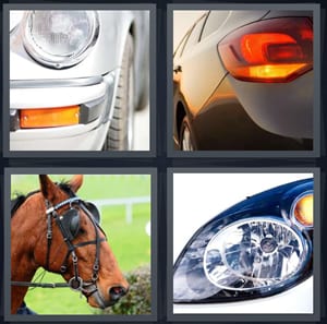headlight of Volkswagon car, taillight with red light, horse with eye blinder, front of car