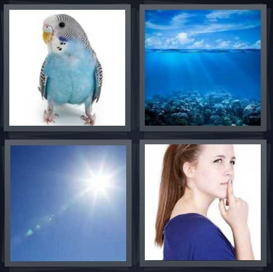 Parrot, Undersea, Sky, Girl