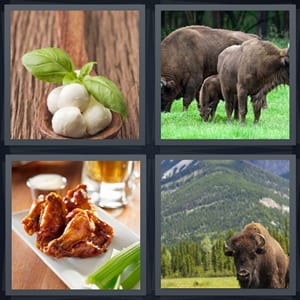mozzarella cheese in water, bison on plains, wings with hot sauce and celery, mountain and bison in Colorado