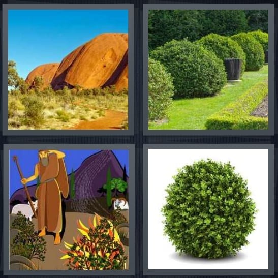 Desert, Garden, Moses, Hedge