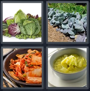 lettuce and root vegetables on white background, plants in garden large leaves, kimchi with red sauce, leafy Polish soup yellow