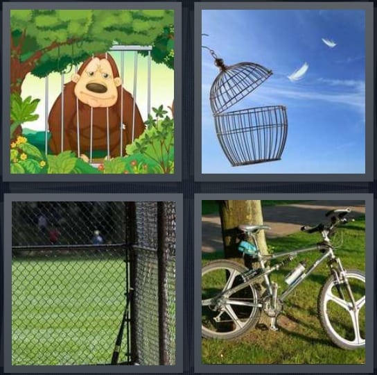 Monkey, Birdcage, Batter, Bicycle
