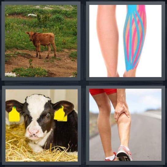 Cow, Leg, Baby, Runner