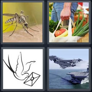 mosquito drawing blood, man carrying groceries in canvas bag, pigeon bird with mail, jet aircraft taking off
