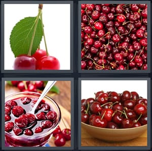 red fruit on stem with leaves, red fruits lots, jarred fruit in bowl, fresh round red fruit in bowl