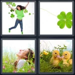 Jump, Lucky, Field, Chick