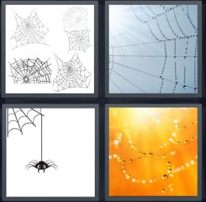 Web, Weave, Spider, Dew