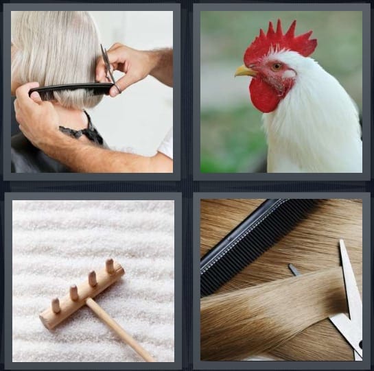 Haircut, Rooster, Zen, Scissors