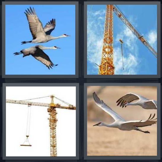 Bird, Construction, Build, Heron