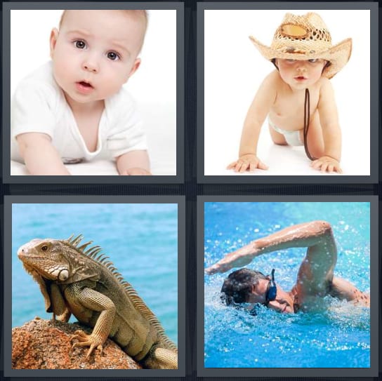 Baby, Cowboy, Iguana, Swim