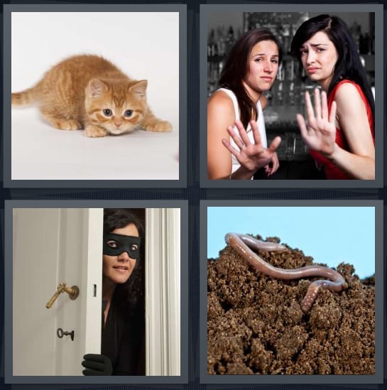 Kitten, Refuse, Robber, Worm