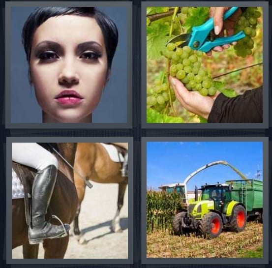 Bob, Grapes, Horses, Corn