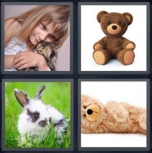 Kitten, Teddy, Bunny, Bear