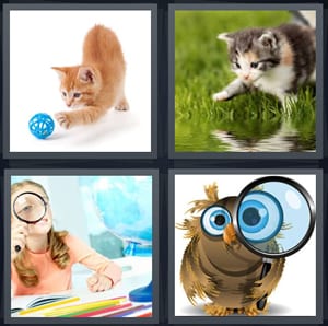 cat with ball of string, kitten playing outside, girl with magnifying glass, owl with glass
