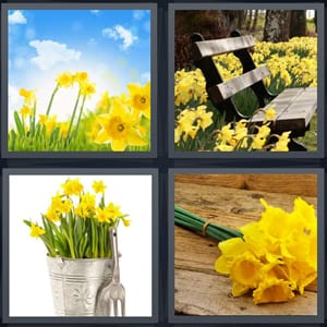 field in sunlight with flowers, yellow flowers around bench in park, flowers in metal bucket, bunch of yellow flowers