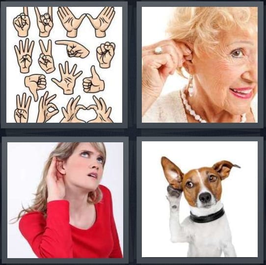 Sign Language, Hearing Aid, Listen, Dog