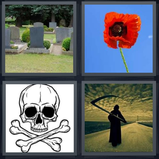 Cemetery, Poppy, Skull, Reaper