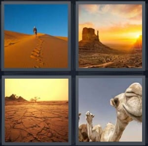 Sand, Sunset, Cracked, Camels