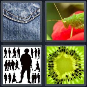 Pocket, Grasshopper, Military, Kiwi