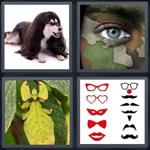 dog wearing wig, soldier in camouflage, leaf bug in forest, glasses and mustache masks