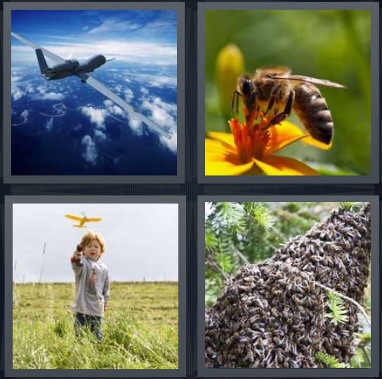 Plane, Bee, Child, Hive