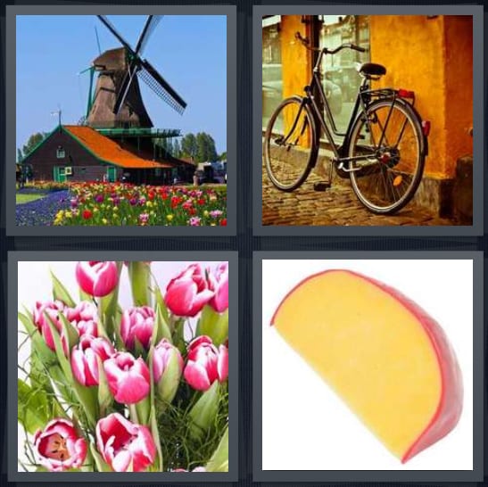 Windmill, Bicycle, Tulips, Cheese