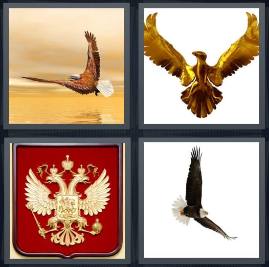 Bird, Wings, Crest, Soar