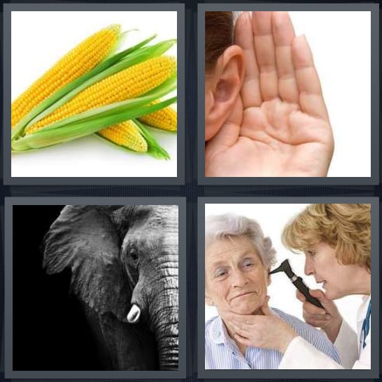 Corn, Listen, Elephant, Doctor