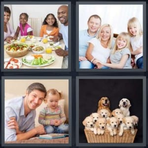 Meal, Portrait, Father, Puppies