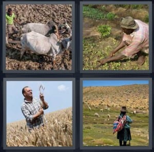 Plow, Plant, Harvest, Andes