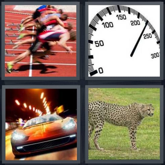 Runners, Odometer, Race car, Cheetah