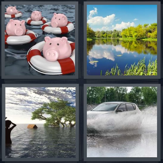 Pigs, Swamp, Emergency, Car