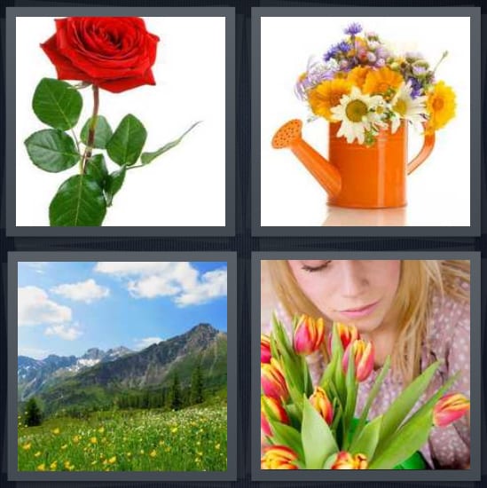 Rose, Bouquet, Mountain, Tulips