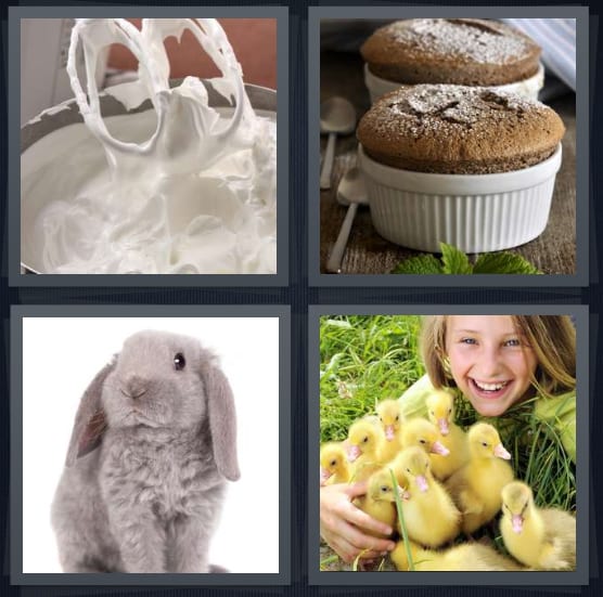Whipped, Souffle, Bunny, Chicks
