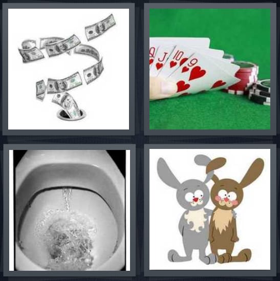 Money, Cards, Toilet, Rabbits