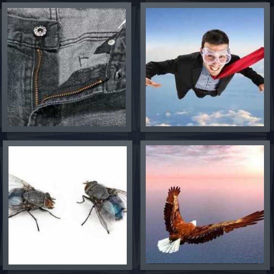 Jeans, Superhero, Insect, Eagle