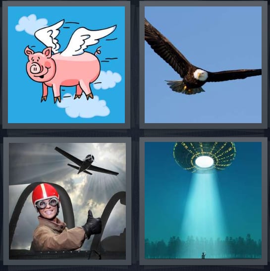 Pig, Eagle, Pilot, Aliens