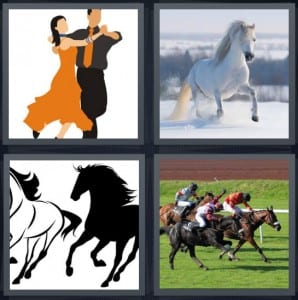Dance, Stallion, Horse, Jockeys