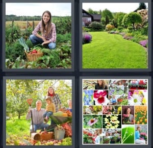 Vegetables, Grass, Plant, Flowers